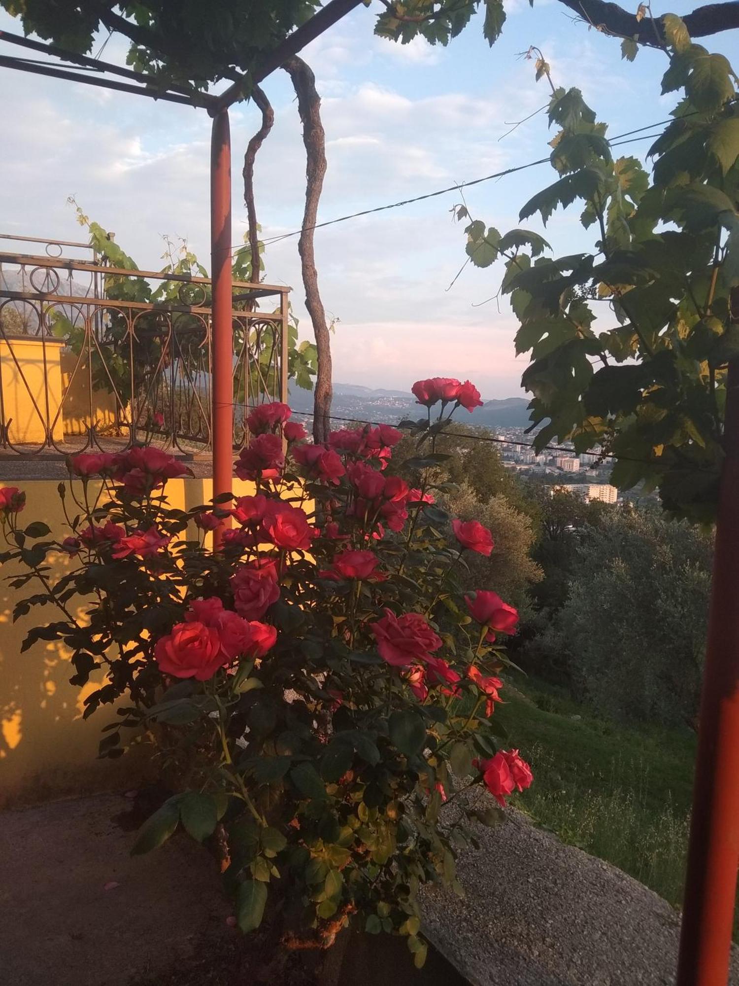 Apartman "Marko" Bar Exteriér fotografie